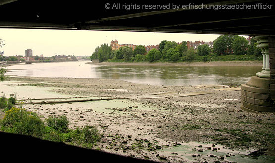 Putney towpath as seen across the Thames from under Hammersmith Bridge