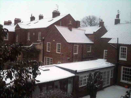 Winter Rooftops